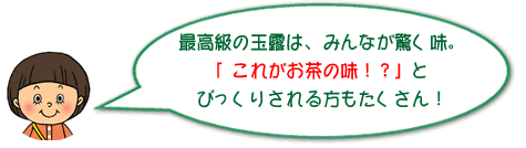 最高級の玉露は、みんなが驚く味。「これがお茶の味！？」とびっくりされる方もたくさん！